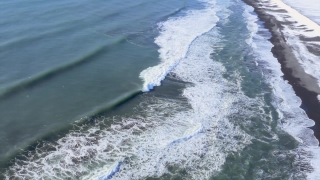 No Copyright Video, No Copyright Stock Footage, No Copyright Stock Video Clip