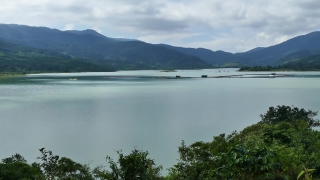 No Copyright Video, No Copyright Stock Footage, No Copyright Stock Video Clip