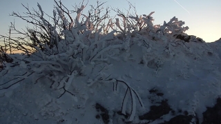 No Copyright Video, No Copyright Stock Footage, No Copyright Stock Video Clip