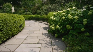 No Copyright Video, No Copyright Stock Footage, No Copyright Stock Video Clip