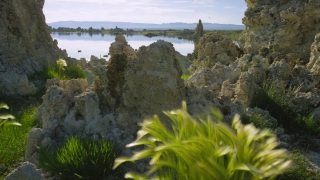 No Copyright Video, No Copyright Stock Footage, No Copyright Stock Video Clip