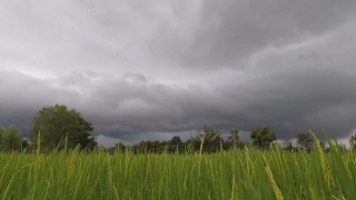 No Copyright Video, No Copyright Stock Footage, No Copyright Stock Video Clip