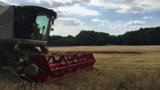 No Copyright Video, No Copyright Stock Footage, No Copyright Stock Video Clip