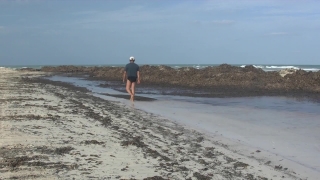 No Copyright Video, No Copyright Stock Footage, No Copyright Stock Video Clip