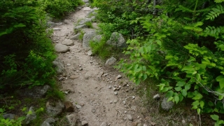 No Copyright Video, No Copyright Stock Footage, No Copyright Stock Video Clip