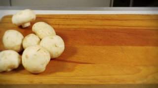 No Copyright Video, No Copyright Stock Footage, No Copyright Stock Video Clip