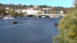 No Copyright Video, No Copyright Stock Footage, No Copyright Stock Video Clip