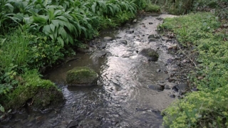 No Copyright Video, No Copyright Stock Footage, No Copyright Stock Video Clip