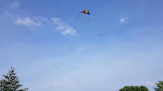 No Copyright Video, No Copyright Stock Footage, No Copyright Stock Video Clip