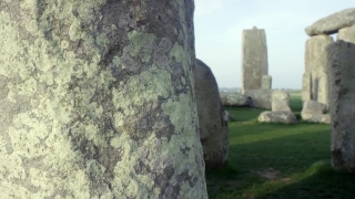 No Copyright Video, No Copyright Stock Footage, No Copyright Stock Video Clip