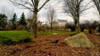 No Copyright Video, No Copyright Stock Footage, No Copyright Stock Video Clip