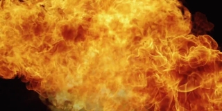 No Copyright Video, No Copyright Stock Footage, No Copyright Stock Video Clip