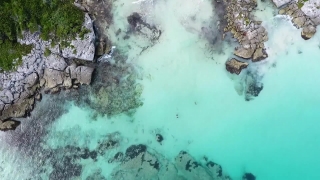 No Copyright Video, No Copyright Stock Footage, No Copyright Stock Video Clip