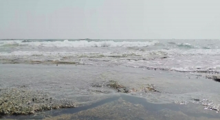 No Copyright Video, No Copyright Stock Footage, No Copyright Stock Video Clip