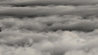 No Copyright Video, No Copyright Stock Footage, No Copyright Stock Video Clip