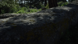 No Copyright Video, No Copyright Stock Footage, No Copyright Stock Video Clip