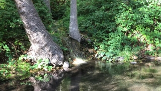 No Copyright Video, No Copyright Stock Footage, No Copyright Stock Video Clip