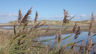 No Copyright Video, No Copyright Stock Footage, No Copyright Stock Video Clip