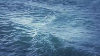 No Copyright Video, No Copyright Stock Footage, No Copyright Stock Video Clip