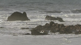 No Copyright Video, No Copyright Stock Footage, No Copyright Stock Video Clip