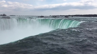 No Copyright Video, No Copyright Stock Footage, No Copyright Stock Video Clip