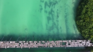 No Copyright Video, No Copyright Stock Footage, No Copyright Stock Video Clip