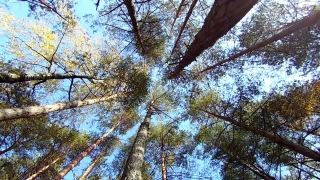 No Copyright Video, No Copyright Stock Footage, No Copyright Stock Video Clip