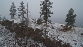 No Copyright Video, No Copyright Stock Footage, No Copyright Stock Video Clip