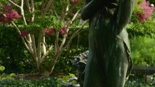 No Copyright Video, No Copyright Stock Footage, No Copyright Stock Video Clip