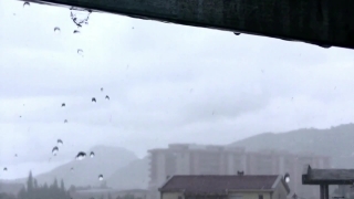 No Copyright Video, No Copyright Stock Footage, No Copyright Stock Video Clip