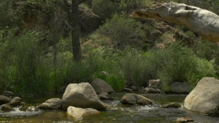 No Copyright Video, No Copyright Stock Footage, No Copyright Stock Video Clip