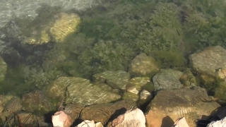 No Copyright Video, No Copyright Stock Footage, No Copyright Stock Video Clip