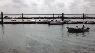 No Copyright Video, No Copyright Stock Footage, No Copyright Stock Video Clip