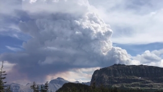 No Copyright Video, No Copyright Stock Footage, No Copyright Stock Video Clip