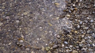 No Copyright Video, No Copyright Stock Footage, No Copyright Stock Video Clip