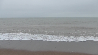 No Copyright Video, No Copyright Stock Footage, No Copyright Stock Video Clip