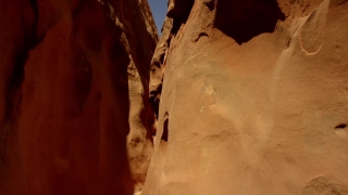 No Copyright Video, No Copyright Stock Footage, No Copyright Stock Video Clip