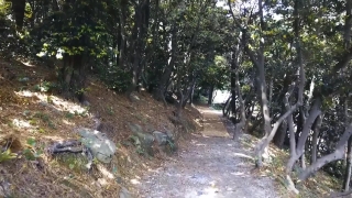 No Copyright Video, No Copyright Stock Footage, No Copyright Stock Video Clip