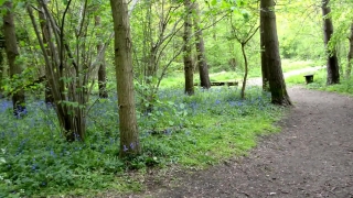 No Copyright Video, No Copyright Stock Footage, No Copyright Stock Video Clip