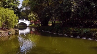 No Copyright Video, No Copyright Stock Footage, No Copyright Stock Video Clip