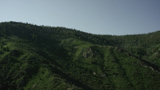 No Copyright Video, No Copyright Stock Footage, No Copyright Stock Video Clip