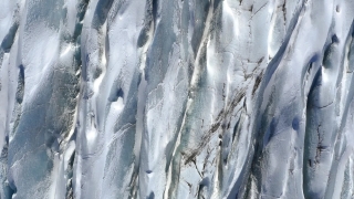 No Copyright Video, No Copyright Stock Footage, No Copyright Stock Video Clip