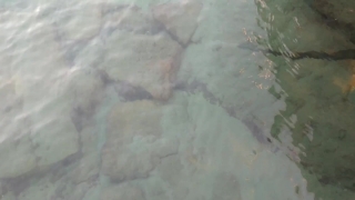 No Copyright Video, No Copyright Stock Footage, No Copyright Stock Video Clip