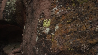 No Copyright Video, No Copyright Stock Footage, No Copyright Stock Video Clip