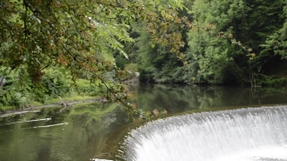 No Copyright Video, No Copyright Stock Footage, No Copyright Stock Video Clip