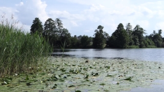 No Copyright Video, No Copyright Stock Footage, No Copyright Stock Video Clip