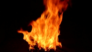 No Copyright Video, No Copyright Stock Footage, No Copyright Stock Video Clip