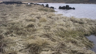 No Copyright Video, No Copyright Stock Footage, No Copyright Stock Video Clip