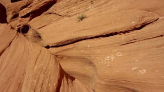 No Copyright Video, No Copyright Stock Footage, No Copyright Stock Video Clip