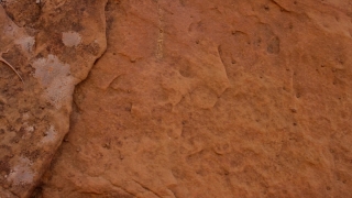 No Copyright Video, No Copyright Stock Footage, No Copyright Stock Video Clip